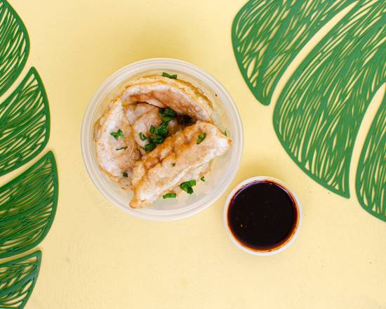 Fried Dumplings