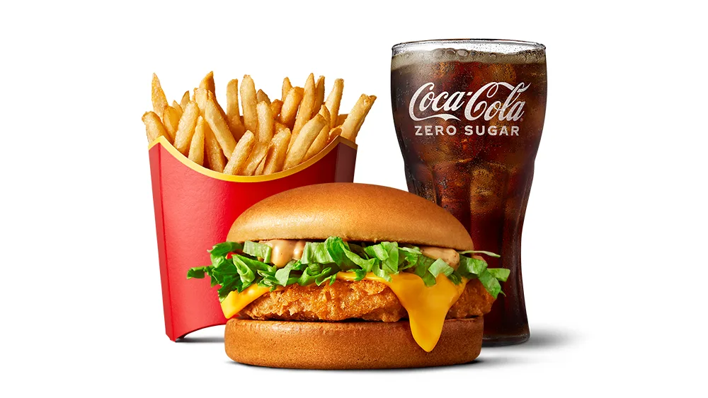Tasty Chicken Burger and Co