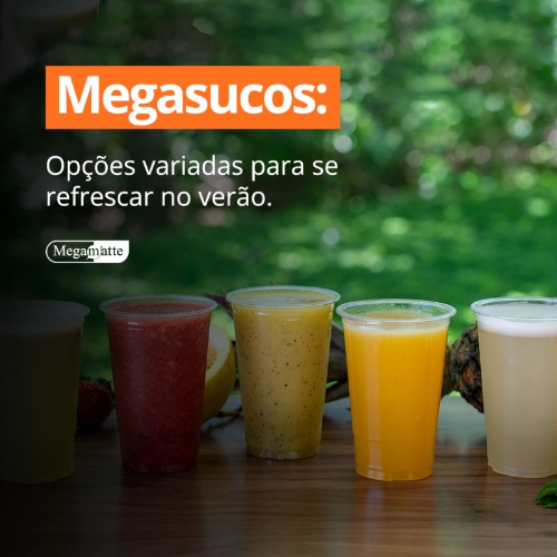 Mega Sucos 500Ml