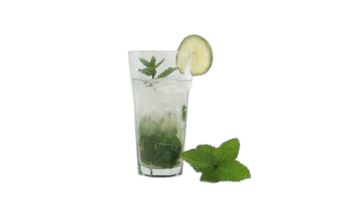 Mojito tarhun