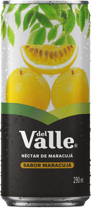 Del Valle Maracujá 290ml