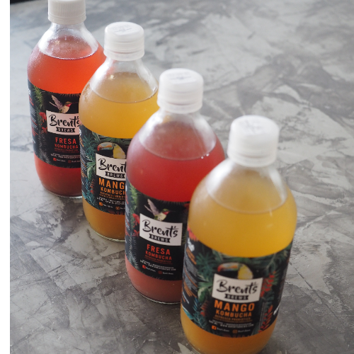Kombucha Brent's
