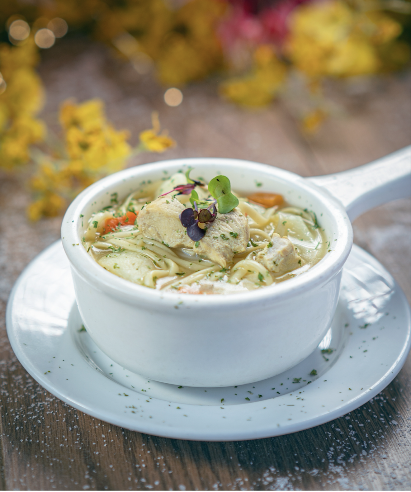 Chicken Noodle Soup