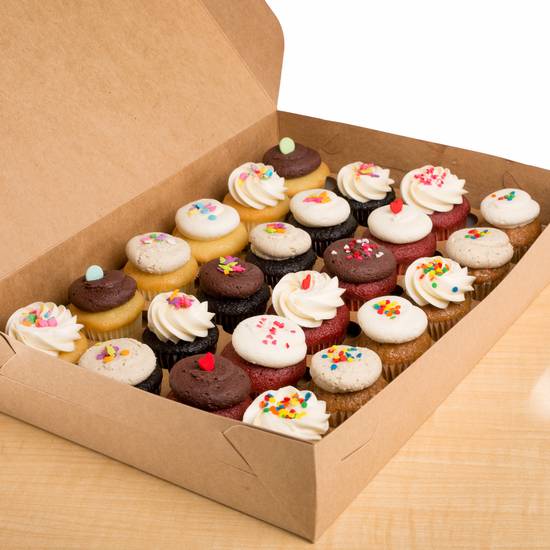 Assorted 2 Dozen Minis