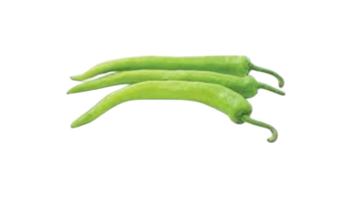 Ljuta paprika