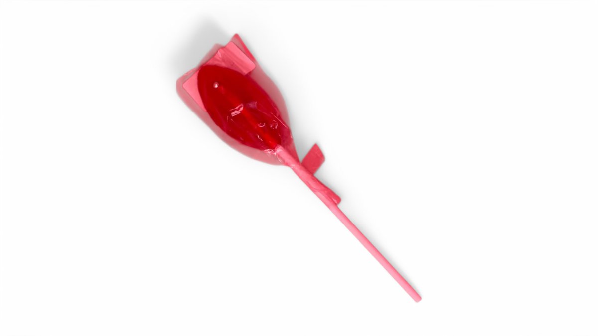 Vulva jelly lollipop
