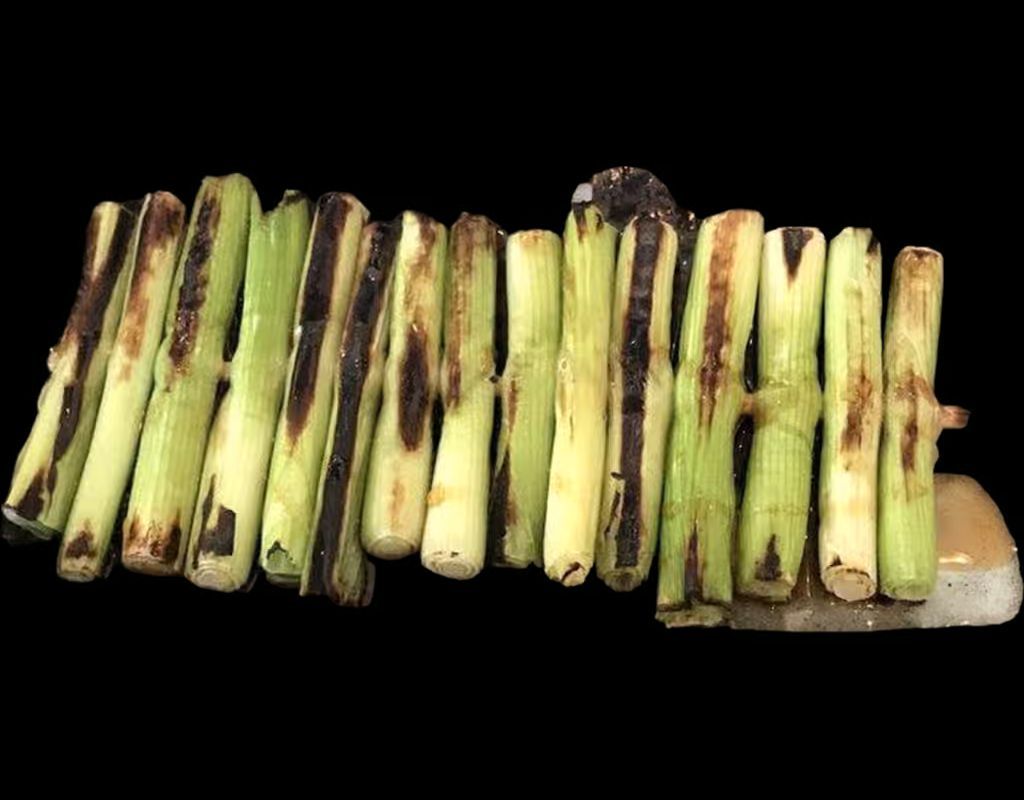 Green Onion Skewer