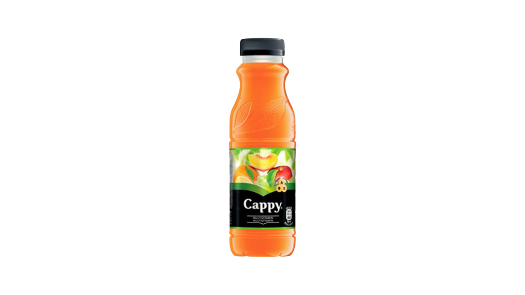 Cappy multivitamiinimahl 250 ml