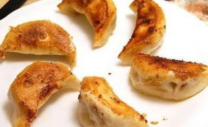 Pan Fried Pork Dumplings