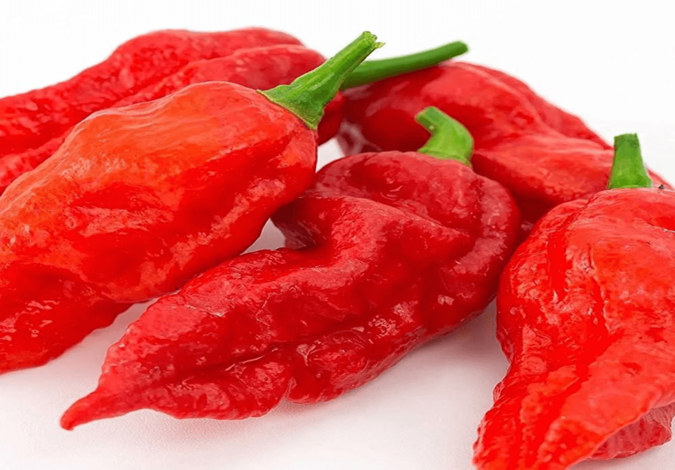 Pimenta Indiana