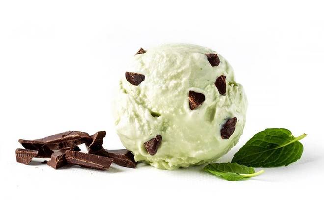 Mint Chocolate Chip Ice Cream Pint