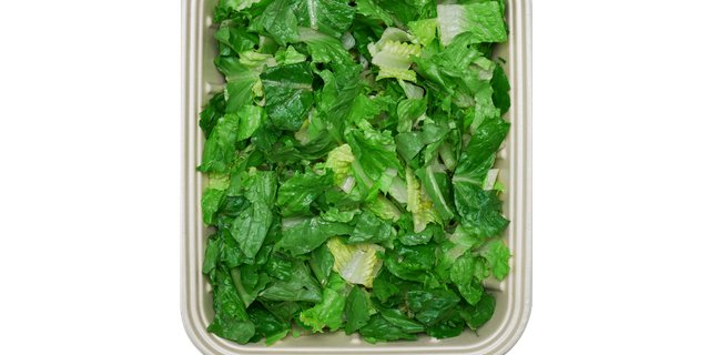 Lettuce Tray