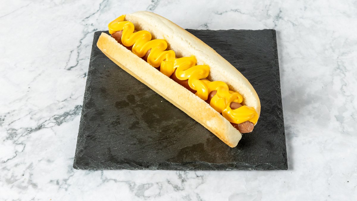 Manhattan dog