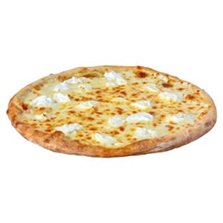12in NYPP White