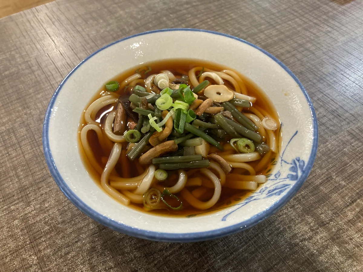 SANSAI UDON LEVES