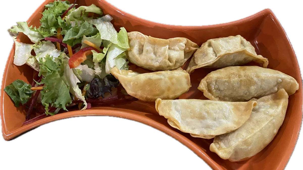 VEGA GYOZA