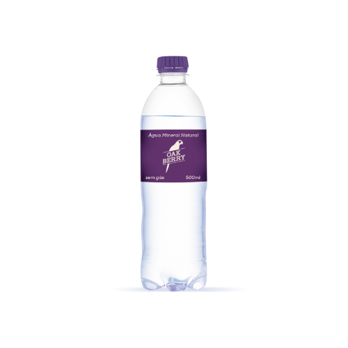 Água sem Gás 500ml
