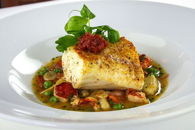 Florida Grouper