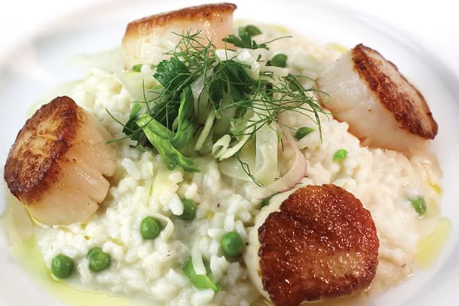 Sea Scallops