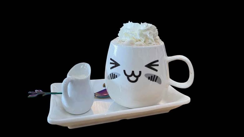 Hot Mocha Latte
