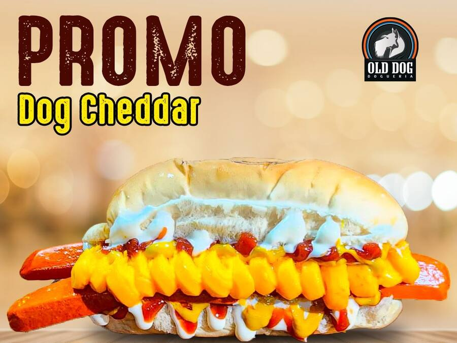 Dog Cheddar