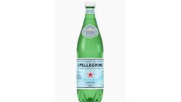 San Pelegrino 500 ml