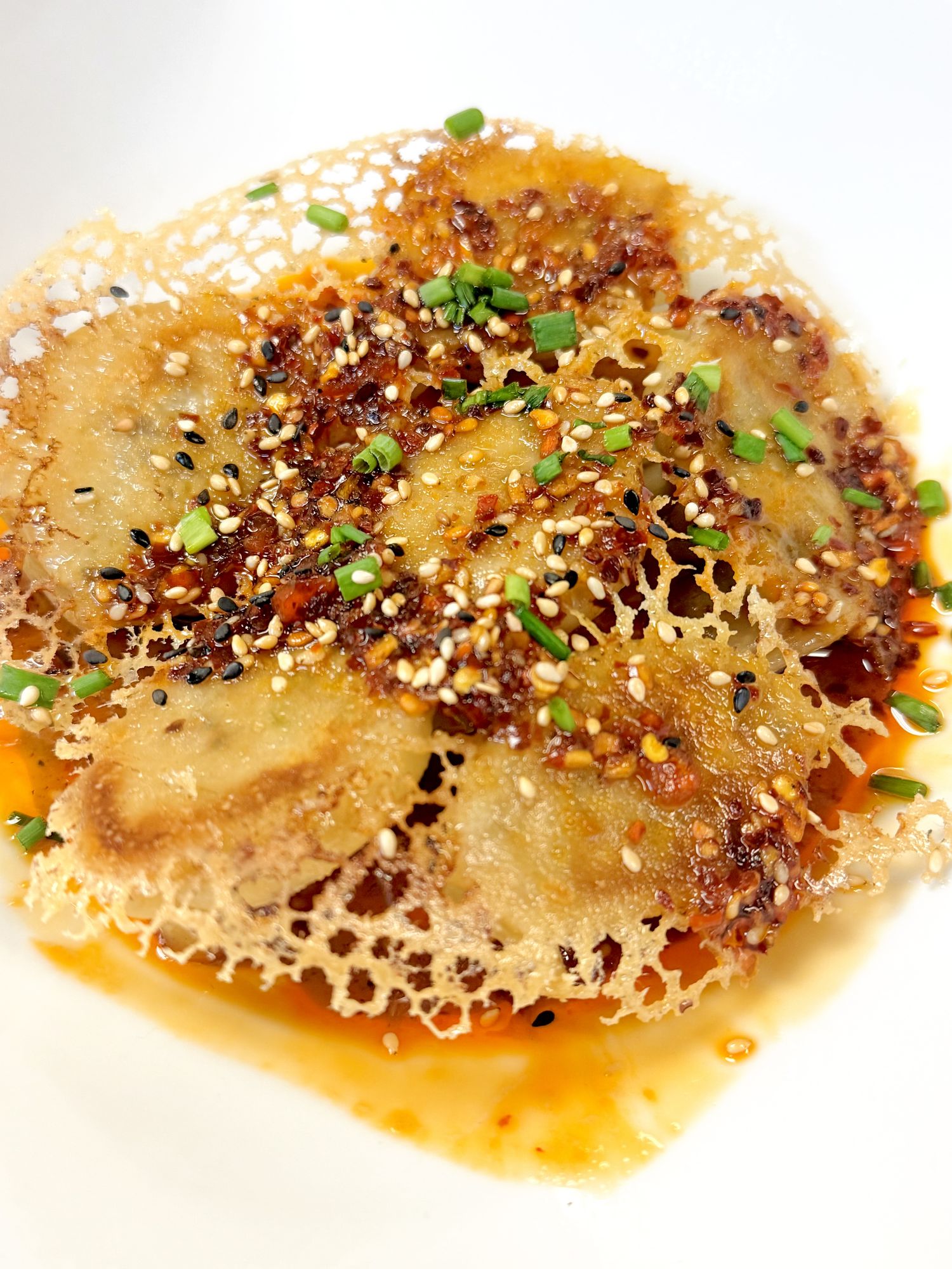 Crispy Chicken Potstickers