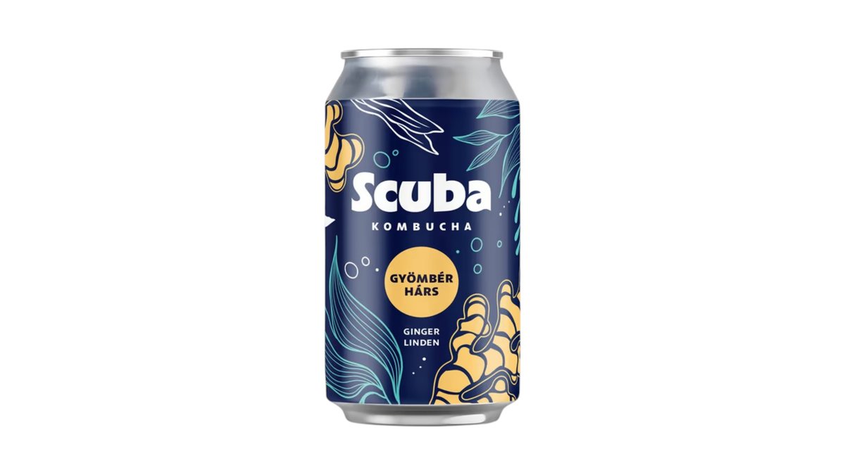 Scuba Kombucha Gyömbér - Hárs