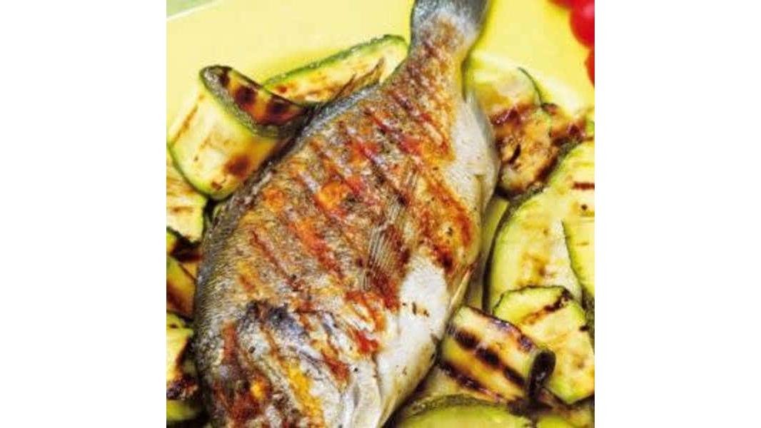 Orata /Dorada