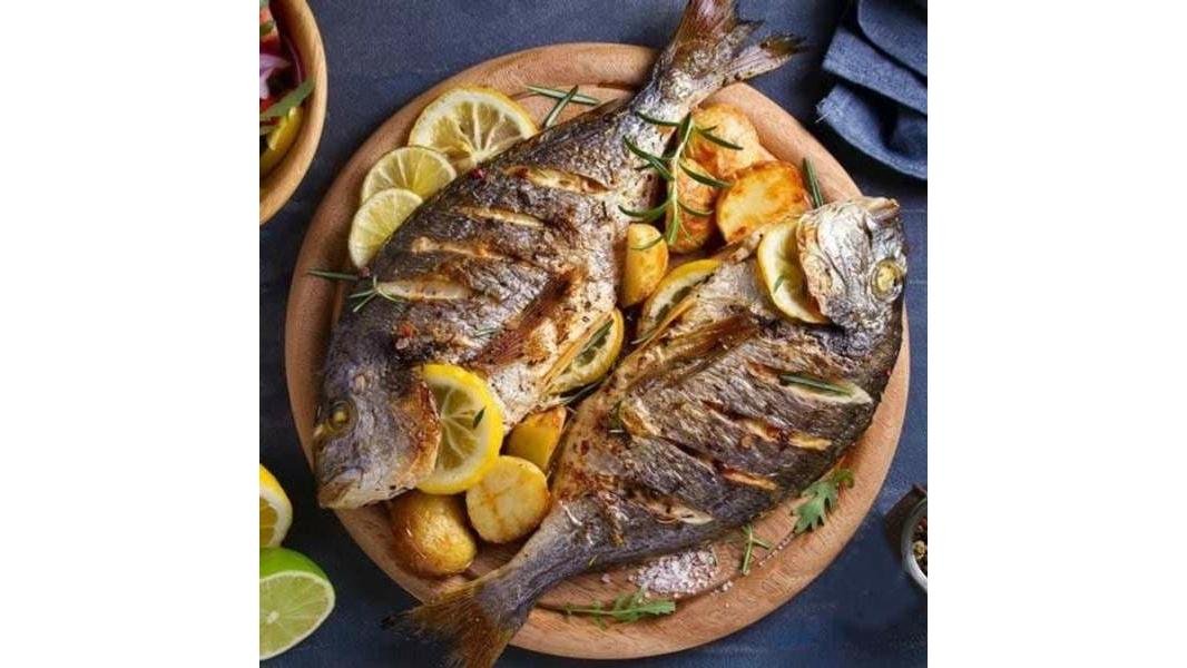 Trota /Păstrăv