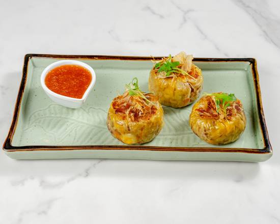 Pan Seared Sticky Rice Dumpling (3)