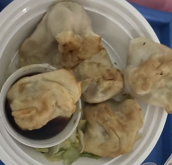 Pan Fried Dumplings