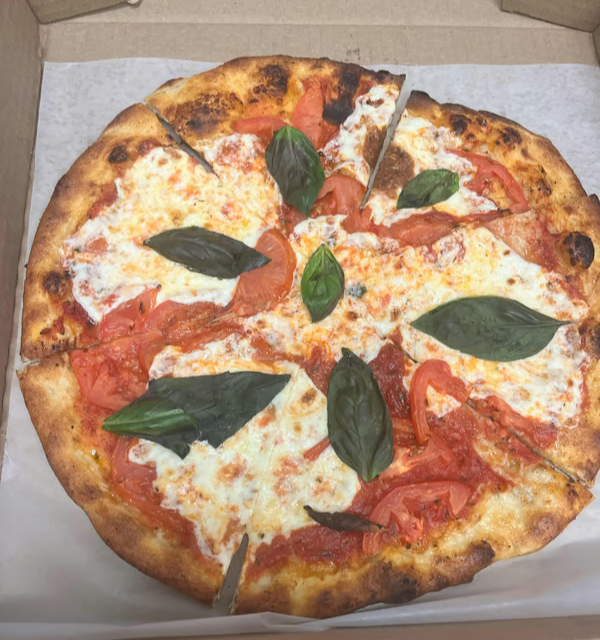 Michaelangelo 12"