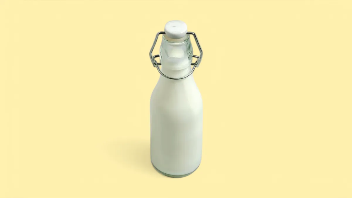 Ev Sayağı Ayran