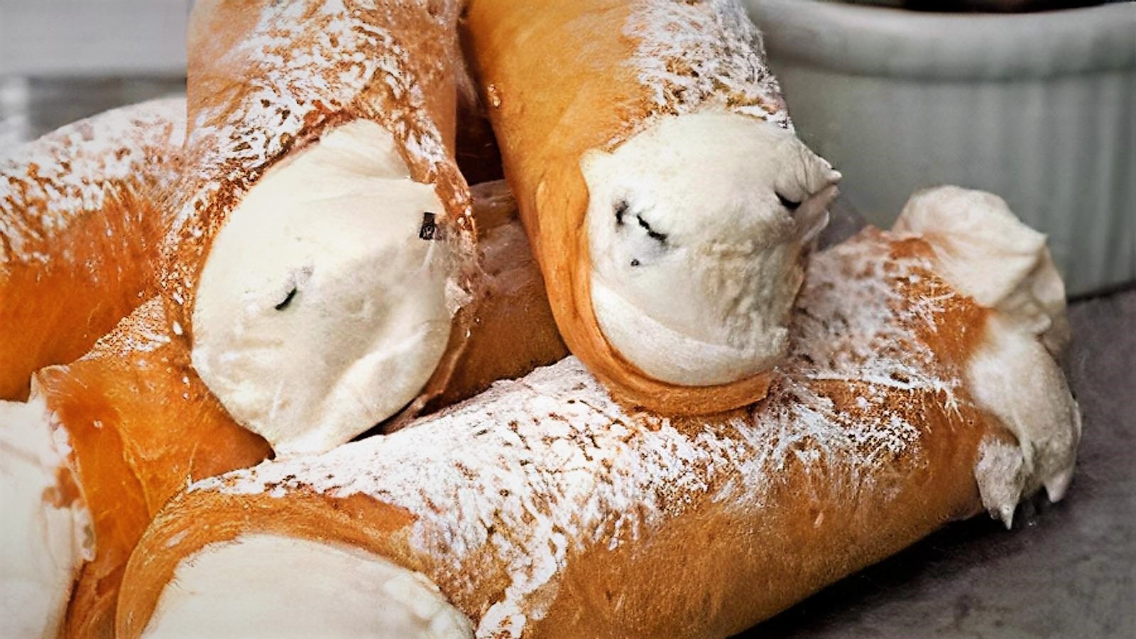 Cannoli