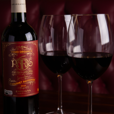 Vinho Paris 6 Cabernet Sauvignon