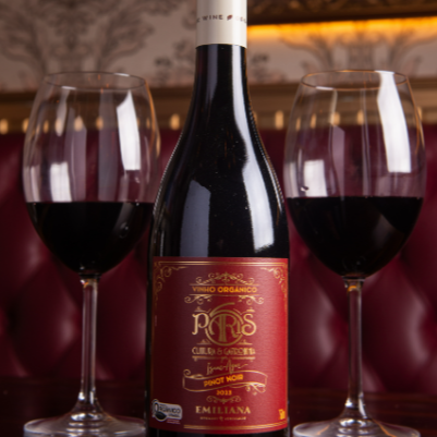 Vinho Paris 6 Pinot Noir