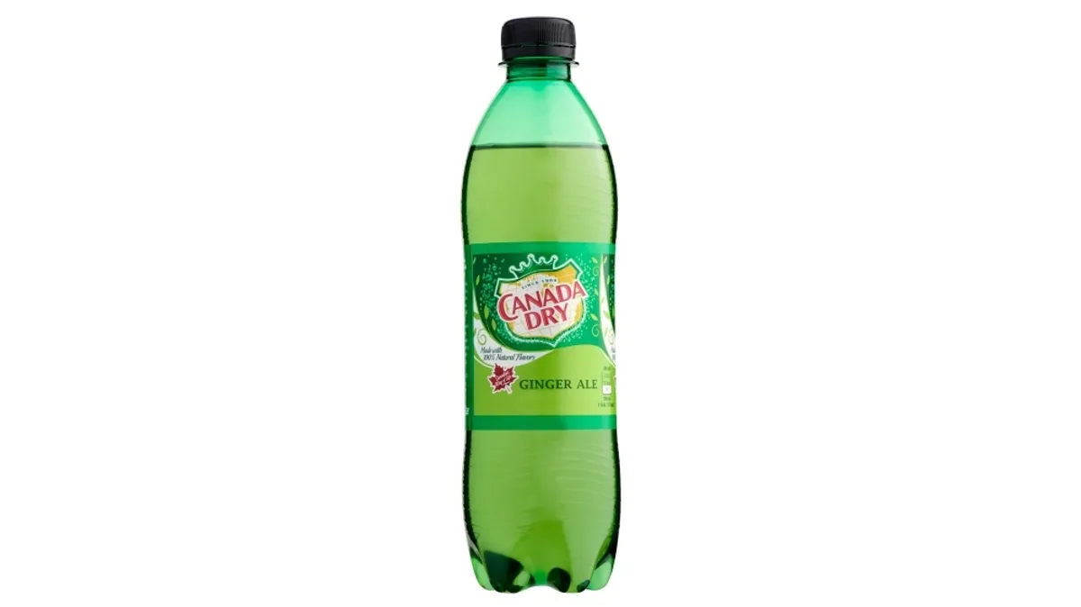 Canada Dry 0,5l