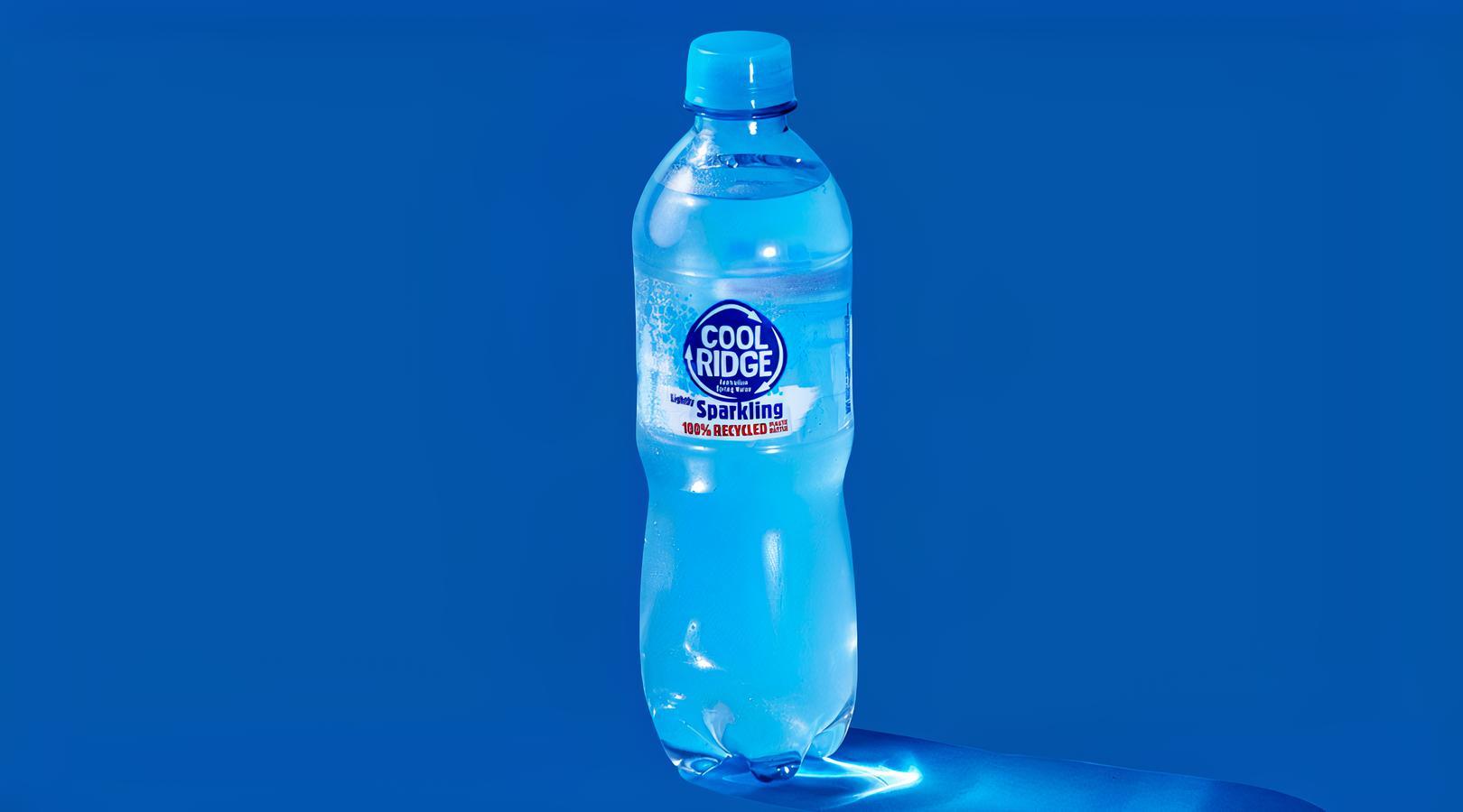 Sparkling Mineral Water 500mL