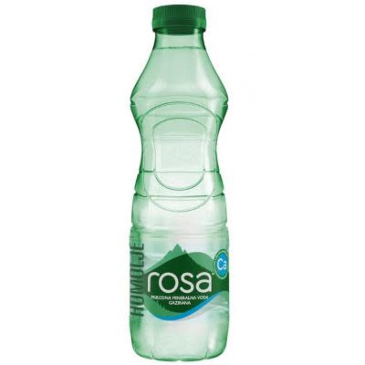 Rosa gazirana