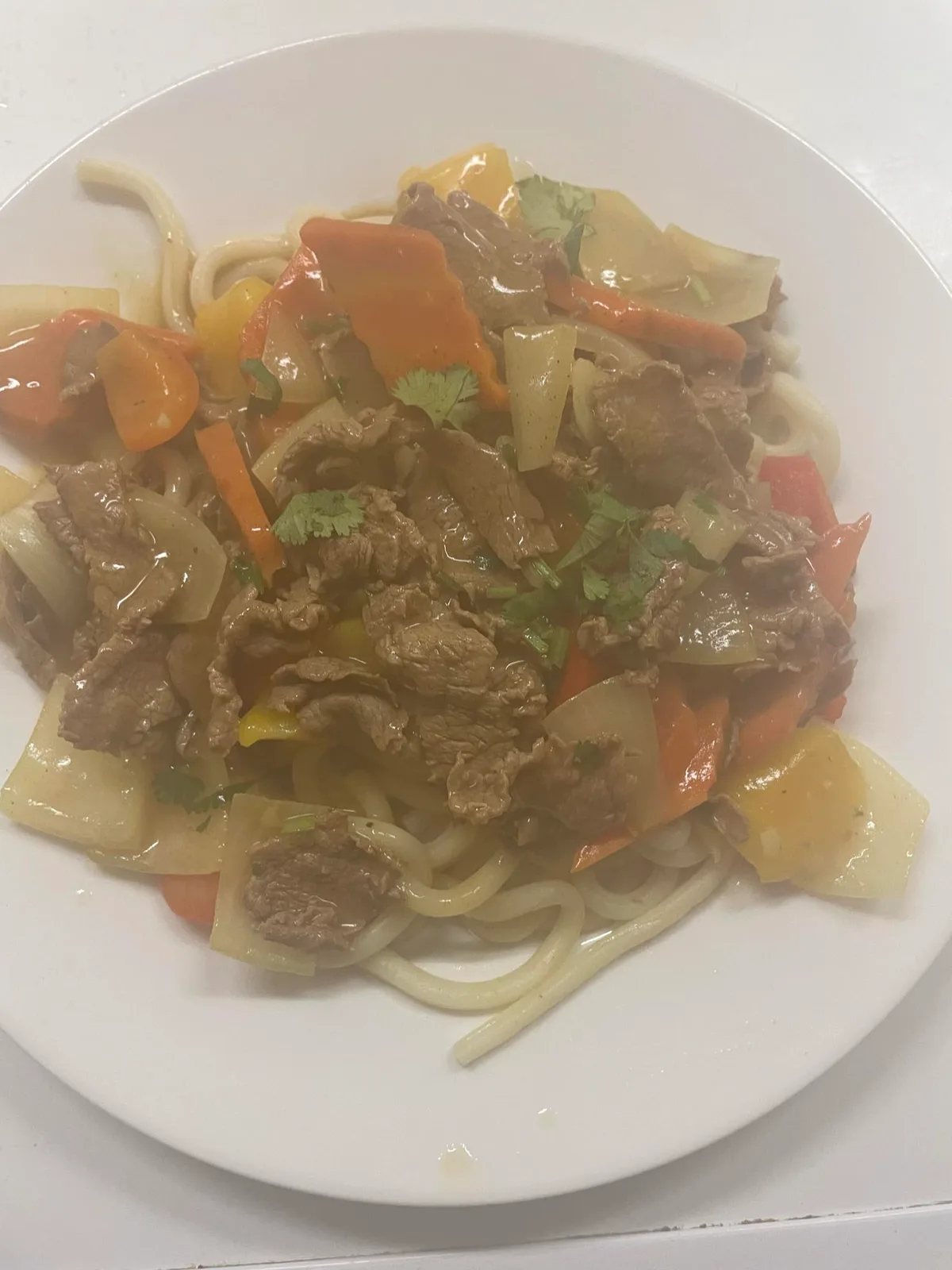 15.B Udon Kari Bò