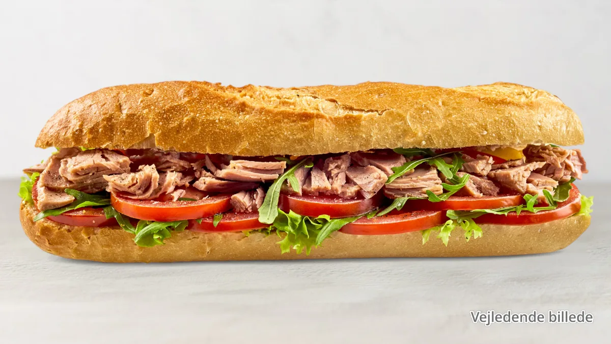 76.Tun and Avocado Sandwich