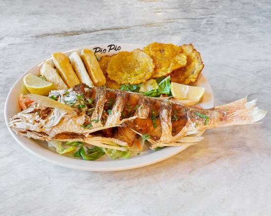 Red Snapper