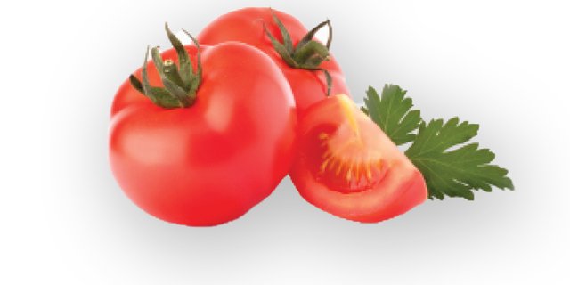 Tomatoes