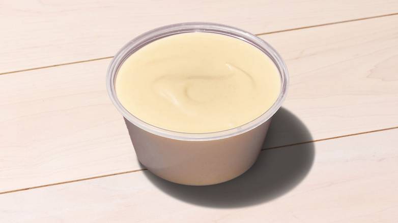 Garlic Dip