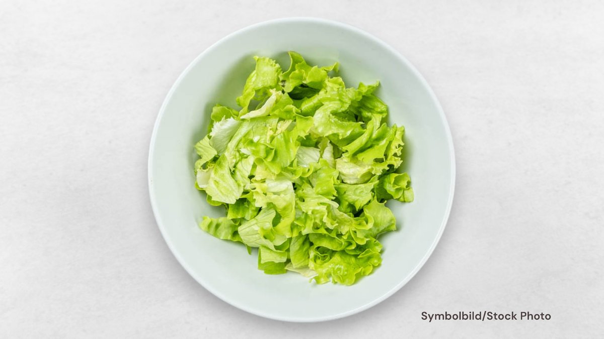 Grüner Salat