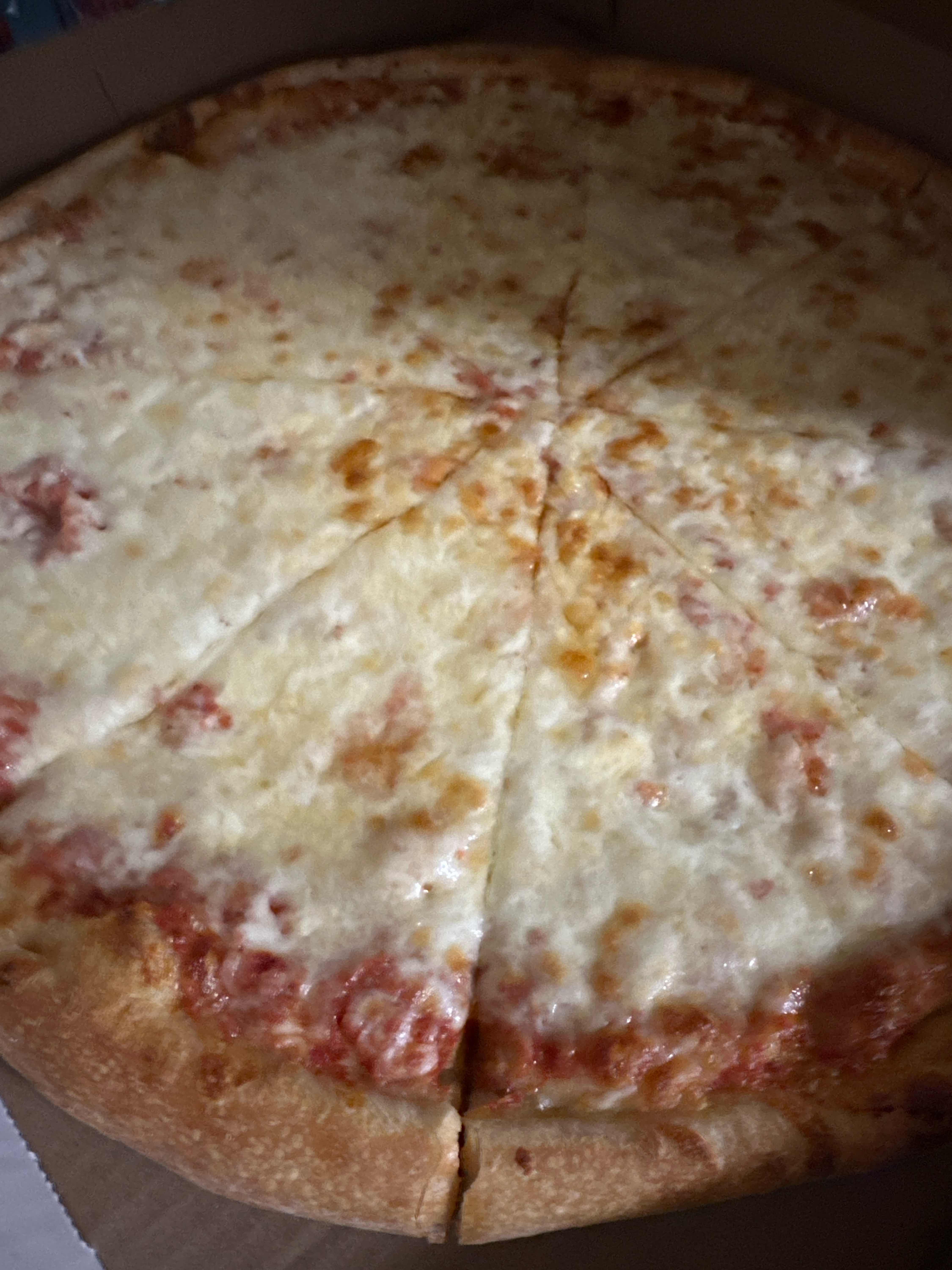 Plain Cheese Pizza