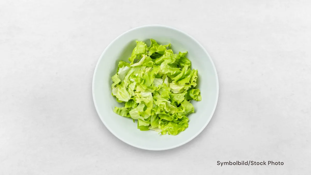 Grüner Salat