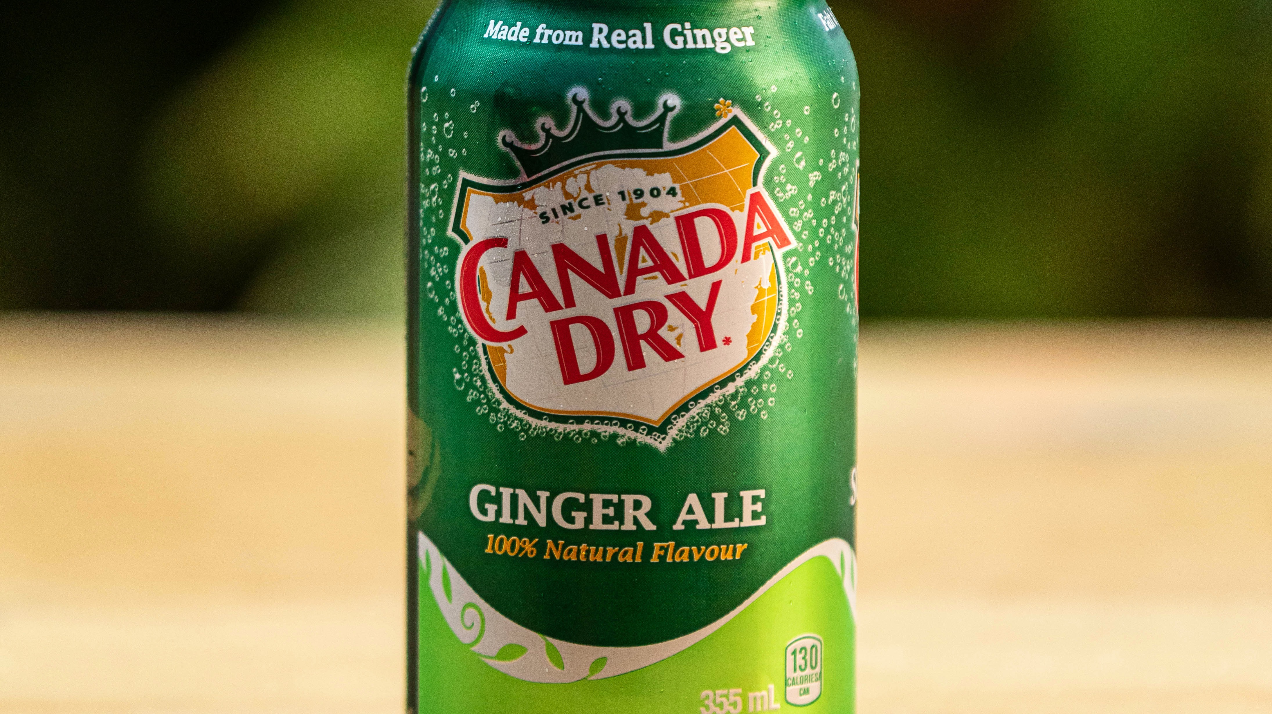 Ginger Ale (355 Ml Can)