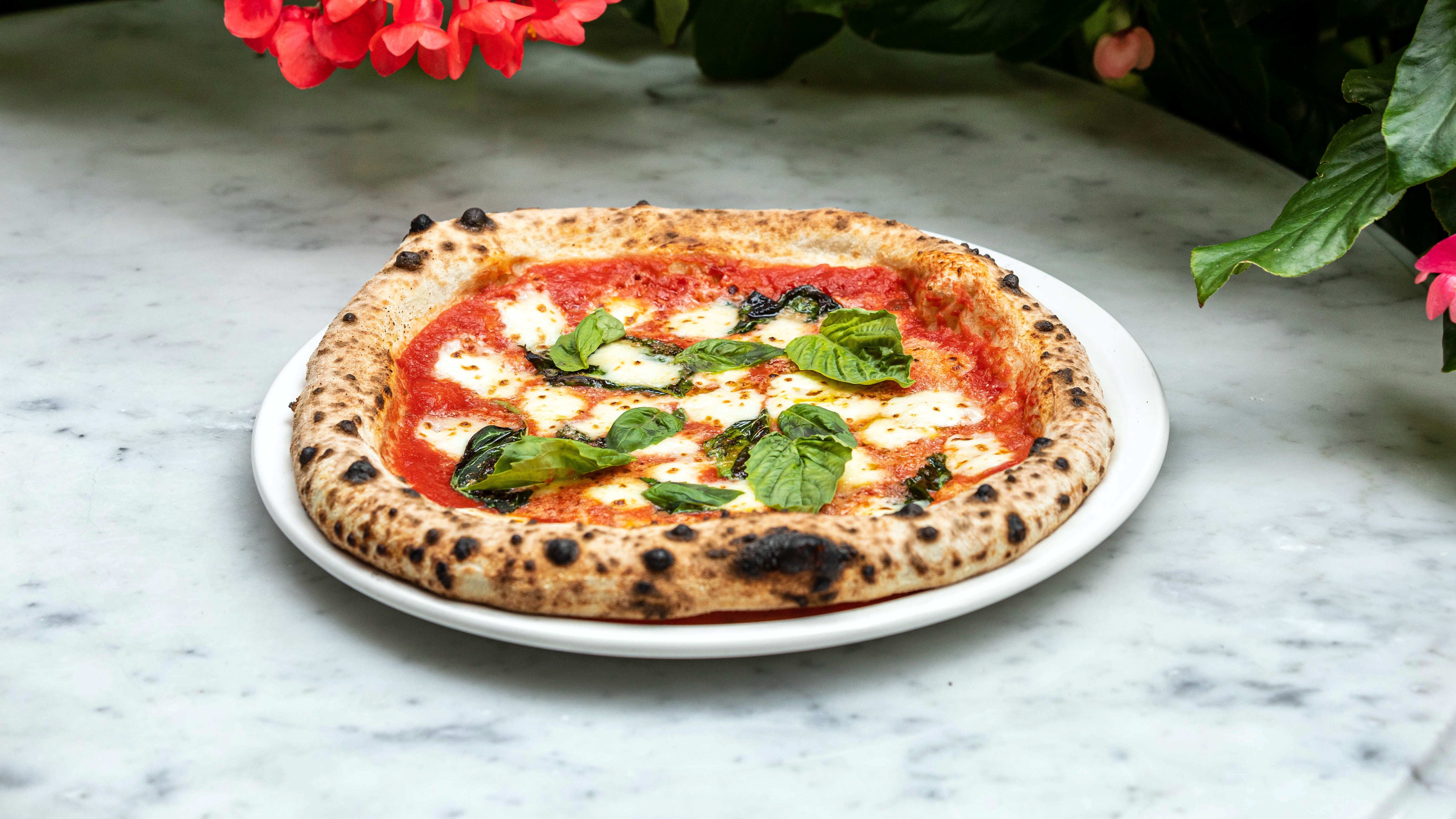 Margherita Pizza